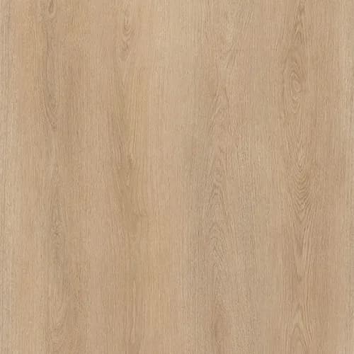 Desert Oak Wood
